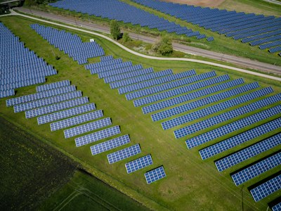 Sustainable future